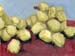 6x8grapes01
