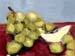 6x8grapesapple01