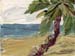 6x8palmtree01