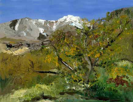 Mount Charleston Nevada Painting